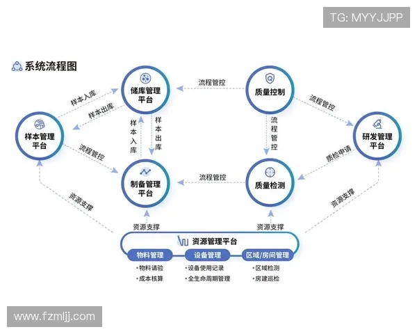 北京乒乓球队区域防守革新之路探索与实践分析