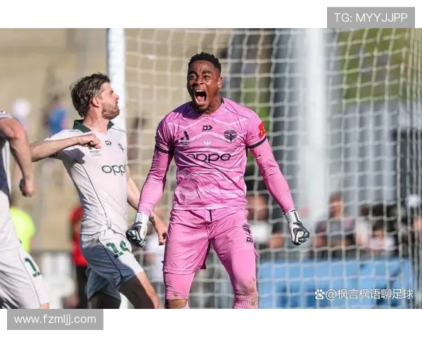 好惠灵顿凤凰迎战墨尔本胜利力争主场胜利展现球队实力